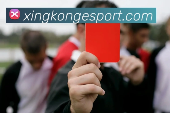 星空电竞平台生态图